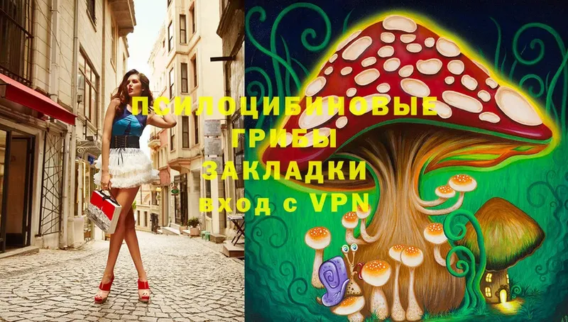 Псилоцибиновые грибы MAGIC MUSHROOMS  Курчалой 